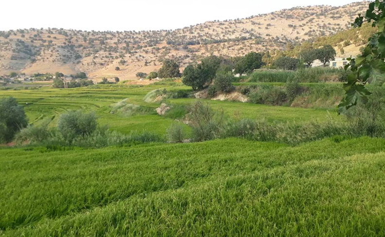 کوچکترین شهر ایران