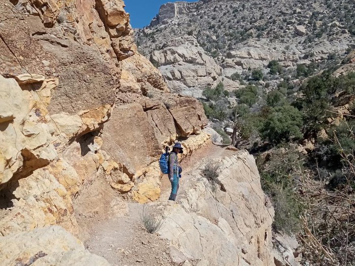 معرفی هماگ هرمزگان