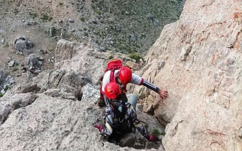 معرفی هماگ هرمزگان