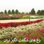 باغ های شگفت انگیز ایران