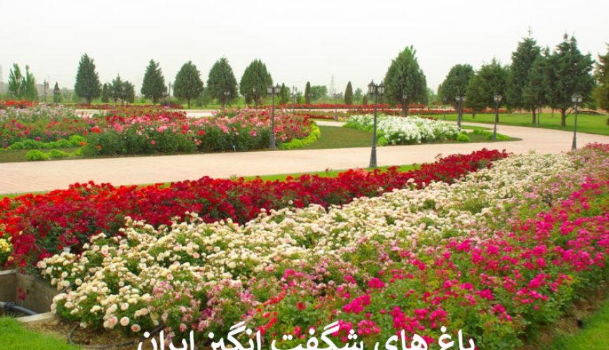 باغ های شگفت انگیز ایران