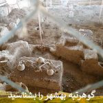 گوهرتپه بهشهر را بشناسید